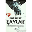 aylak Altnpost Yaynlar