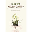 Snnet Neden Garip Tahlil Yaynlar