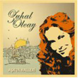 Ak`n Halleri Zuhal Olcay