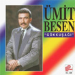 Gkkua mit Besen
