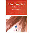 Ekonometri Klavuzu Gazi Kitabevi
