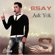 Ak Yok Esay