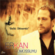 Belki Dnersin Erkan Gmsuyu