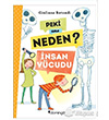 Peki Ama Neden nsan Vcudu Domingo Yaynevi