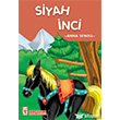 ocuk Klasikleri Dizisi Siyah nci Tima Yaynlar