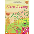 Kara Buday Andersan Masallar Tima Yaynlar