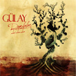 Damlalar 3 Glay