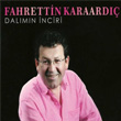 Dalmn nciri Fahrettin Karaard