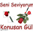 Ses Kaytl Konuan Gl Sevgiliye zel Good Time