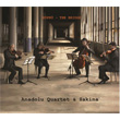 Kpr The Bridge Anadolu Quartet ve Sakina