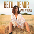 Sana N`Olmu Betl Demir