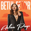 Aslan Pay Betl Demir
