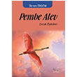 Pembe Alev Bar Kitap