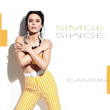 Kamera Simge
