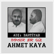 Ad Bahtiyar yimser Bir Gl Ahmet Kaya LP