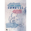 Haymatlos Yitik lke Yaynlar