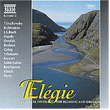 Elegie