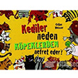 Kediler Neden Kpeklerden Nefret Eder? Krmz Kedi Kedi Yaynlar
