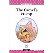 The Camel`s Hump 1001 iek