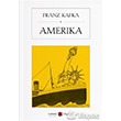 Amerika Karbon Kitaplar