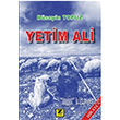 Yetim Ali Zinde Yaynclk