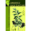 Anadolu Halk lalar Derin Yaynlar