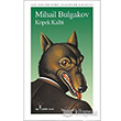 Kpek Kalbi lgi Kltr Sanat Yaynlar