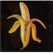 Welcome To The Monkey House The Dandy Warhols