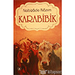 Karabibik Dorlion Kitabevi