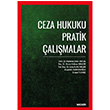Ceza Hukuku Pratik almalar Sekin Yaynevi