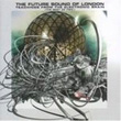 Teachings From The Electronic Brain Future Sound Of London