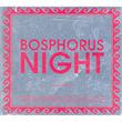 Bosphorus Night by Suat Atedal
