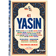 41 Yasin anta Boy Medrese Yaynevi