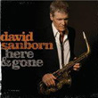 Here and Gone David Sanborn