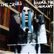 Ignore The Ignorant The Cribs