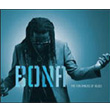 The Ten Shades Of Blues Richard Bona