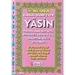 41 Srl Sureler Fihristli Yasin Pamuk Yaynclk