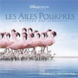 The Crimson Wing Mystery Of The Flamingos The Cinematic Orchestra