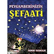 Peygamberimizin efaati Pamuk Yaynclk