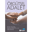 rgtsel Adalet Nobel Akademik Yaynclk