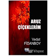 Aruz ieklerim Vedat Fidanboy Fidanboy Yaynclk
