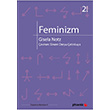 Feminizm Gisela Notz Phoenix Yaynevi