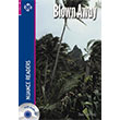Blown Away Nans Publishing