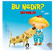 Hayvanlar Bu Nedir? Elif Tahmisciolu akl Yaynlar