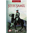 eyh amil Ziya akir Akl Fikir Yaynlar