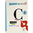 Quaderni Del PLIDA C1 Kitap CD talyanca Snavlara Hazrlk Nans Publishing