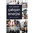 Farkl Ynleriyle alan Enerjisi Eitim Yaynevi