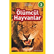lmcl Hayvanlar Seviye 3 National Geographic Kids