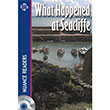 What Happened at Seacliffe Nans Publishing