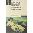 The Sorrows of Young Werther Mavi at Yaynlar